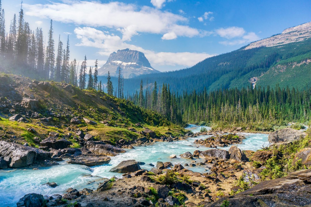 Manitoba landscape representing the provincial nominee program workforce transition bridge policy for temporary foreign workers